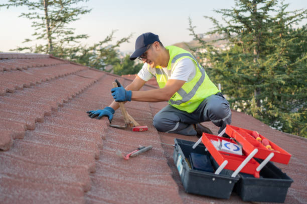 Best Storm Damage Roof Repair  in Mathews, VA